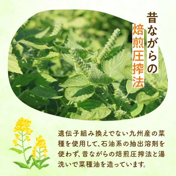 菜の花 ボディーソープ 「菜々花」 詰替用 2袋 [ABAQ008]