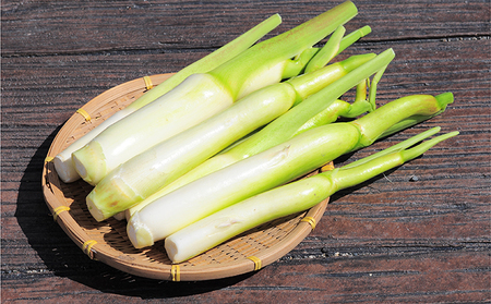 里庄 まこもたけ （2.1kg）【2026年10月上旬～2027年1月上旬出荷】 野菜 マコモダケ マコモ 中華料理 天ぷら 高級食材 送料無料 里庄町