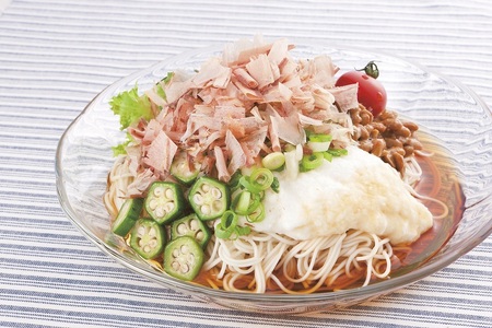 本枯節 鰹節 駿河ふぶき ギフト （2g×12P）×6袋 (a13-153)