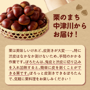 【期間限定】低温貯蔵 東美濃ぽろたん（生栗）東美濃農業協同組合【発送日10月末～12月上旬】 F4N-1960
