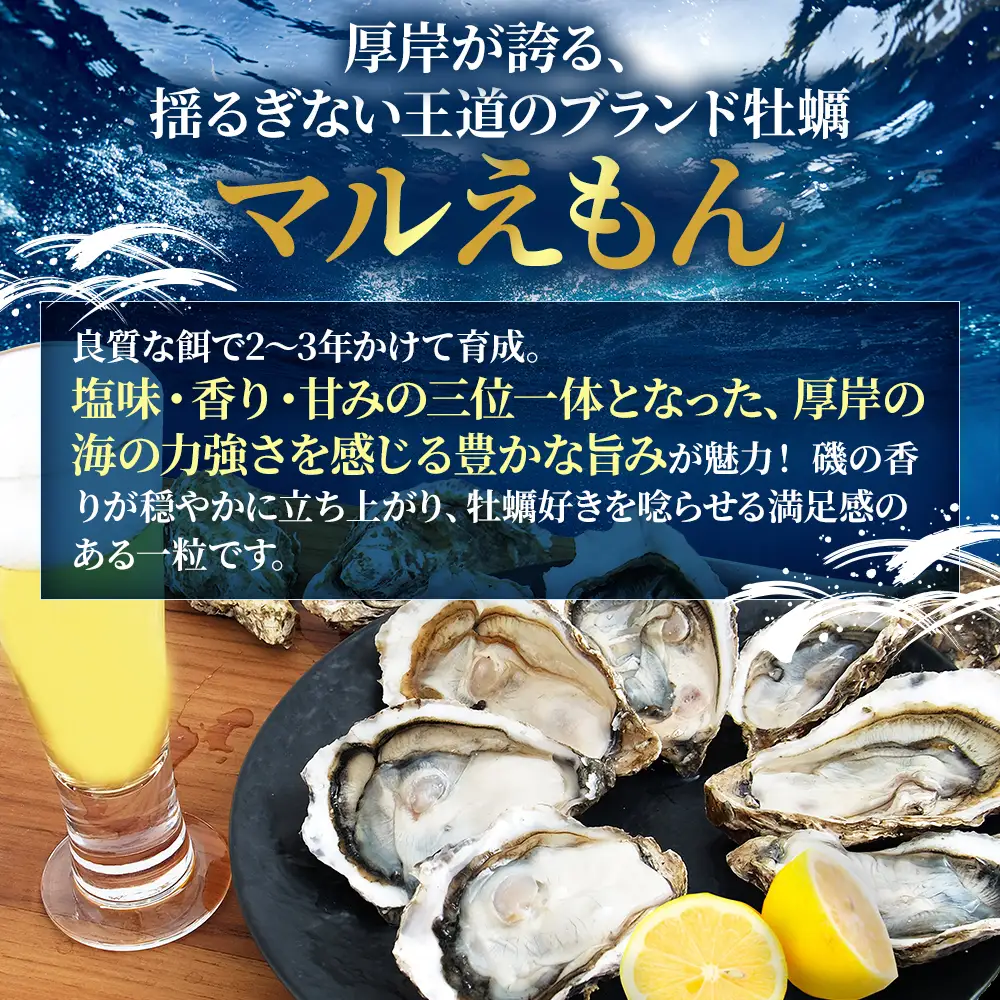 北海道 厚岸産 殻付牡蠣の食べ比べセット！（生食用）カキ 牡蠣