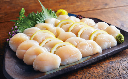 ジャンボホタテ貝柱 500g (12玉前後) 北海道 帆立 ほたて 玉冷 ホタテ