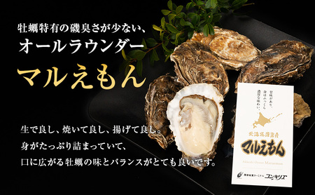 元祖 厚岸バケツ牡蠣セット12個 北海道 牡蠣 カキ かき 魚介類 シーフード マルえもん