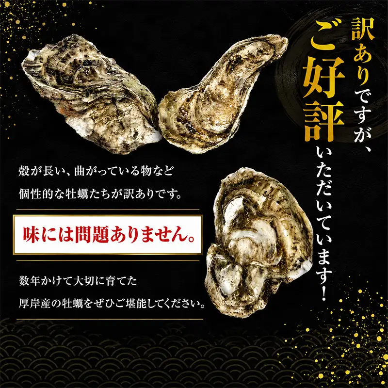【4月発送 他月は別ページ】 牡蠣 厚岸産 訳あり 約4kg 生 牡蠣