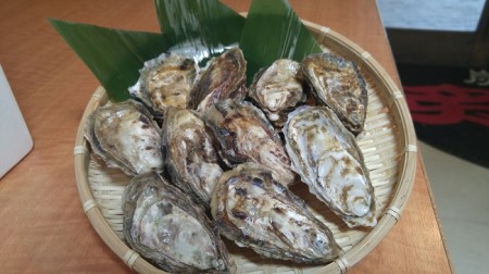4ヵ月定期便 厚岸産牡蠣 3種食べつくしセット ブランド牡蠣