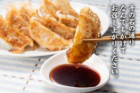 ZI135.玄風館のなんでもかけたれ（3種類3本セット）