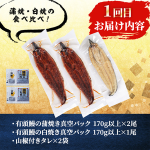 【定期便・全3回】志布志鰻三昧！事業者別の鰻を食べ比べ＜計9尾・1.4kg以上＞ t0066-006