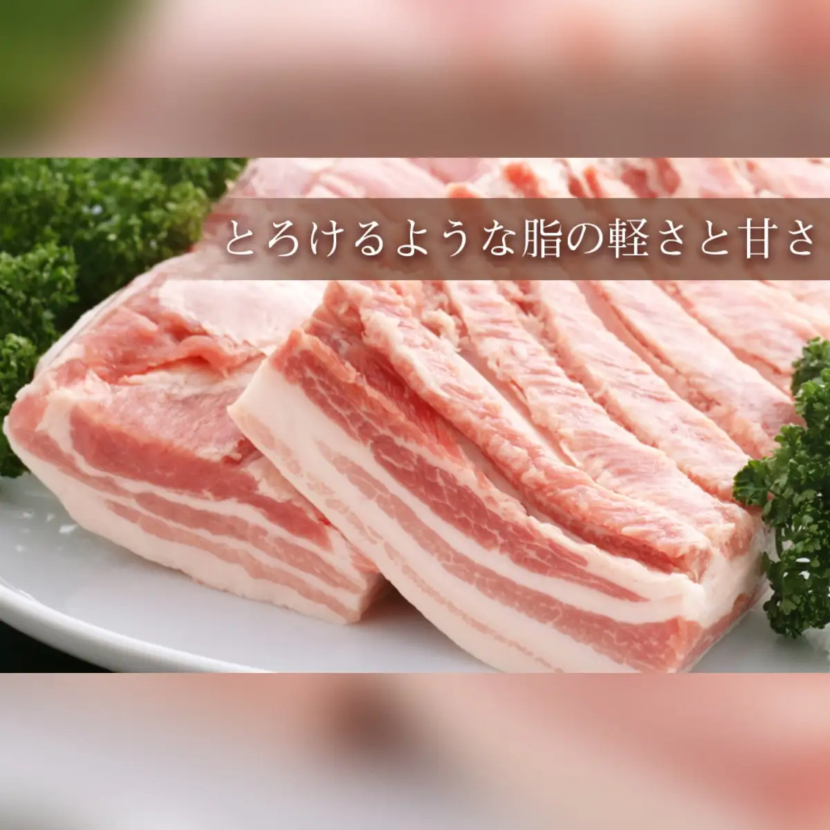 越後もちぶたしゃぶしゃぶセット｜もちぶた