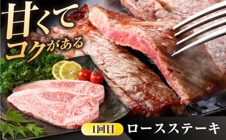 【3回定期便】佐賀県産 黒毛和牛 定期便 / 牛肉  [IAG068]