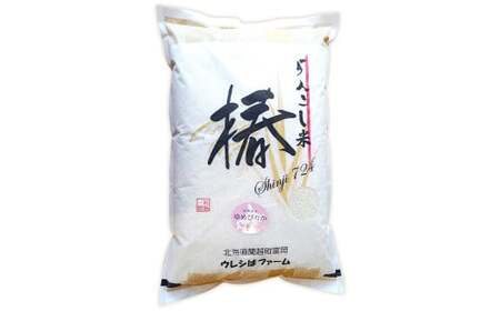 【6ヶ月定期便】らんこし米 (ゆめぴりか) 5kg (ウレシぱファーム) 【2024年10月下旬発送開始】 