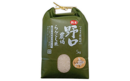 【6ヶ月定期便】らんこし米 (ななつぼし) 5kg (野口農場)【2024年10月下旬発送開始】