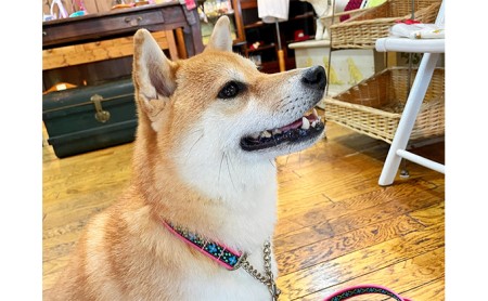 【中型犬用・Mサイズ】ハーフチョークカラーとリードのセット（ブルーフラワー） 雑貨 日用品 ペット用品 