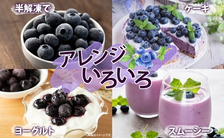 訳あり ブルーベリー 800g 冷凍 フルーツ ブルーベリー