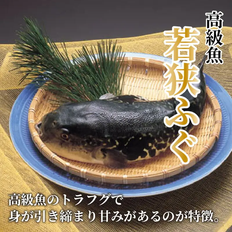 【TVで紹介されました】【先行予約/10月19日より順次配送】【着日指定・のし対応可】若狭ふぐ 2人前 充実セット ふぐ 小浜市  / 阿納ふぐ組合[BFAC005] 