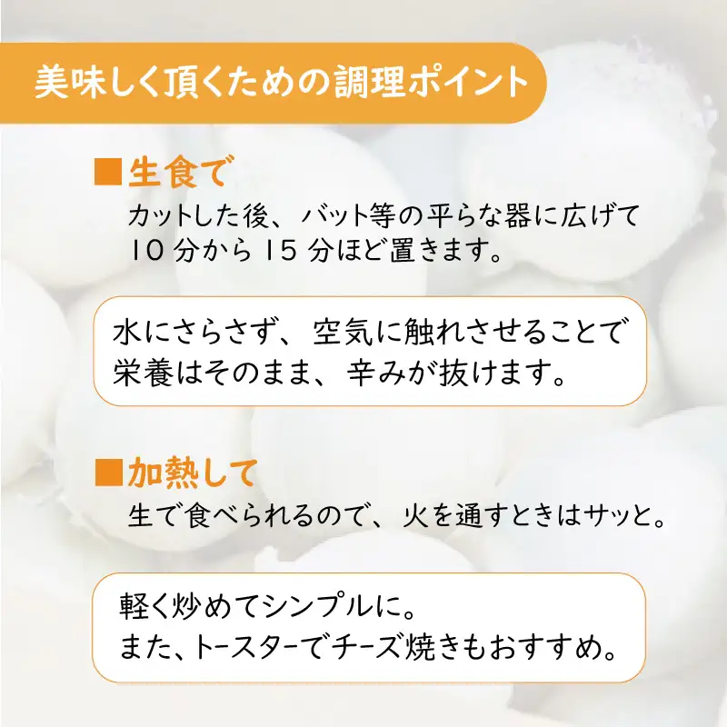 【予約：2026年7月中旬から順次発送】ところの白玉ねぎ 10kg ( 玉ねぎ タマネギ 玉葱 野菜 白玉ねぎ 10キロ 期間限定 辛みが少ない 生食 )【121-0008-2026】