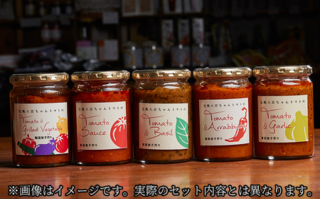 パスタソース トマト 10種 セット 無添加 パスタソース