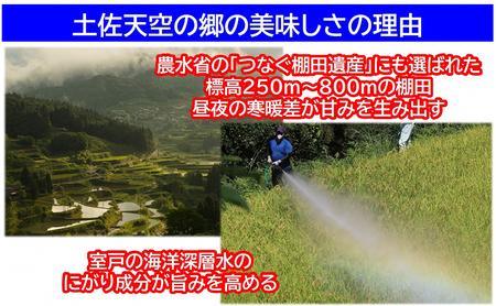 農林水産省の「つなぐ棚田遺産」に選ばれた棚田で育てられた棚田米　土佐天空の郷　ヒノヒカリ　5kg