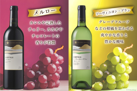 ワイン セット サッポロ グランポレール 安曇野池田ヴィンヤード 6種 各750ml×1本 計6本 飲み比べ