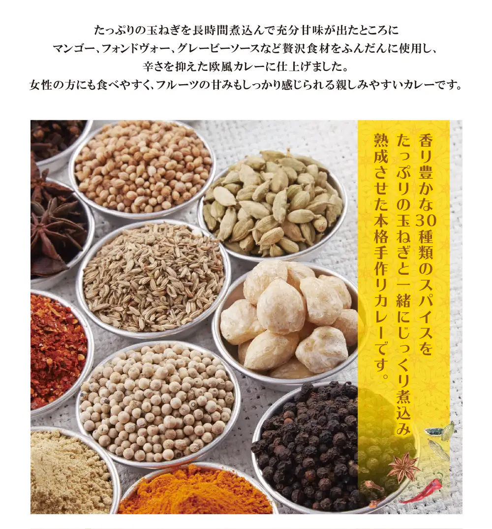 Z27-02 みろくのカレー10食（中辛） カレー