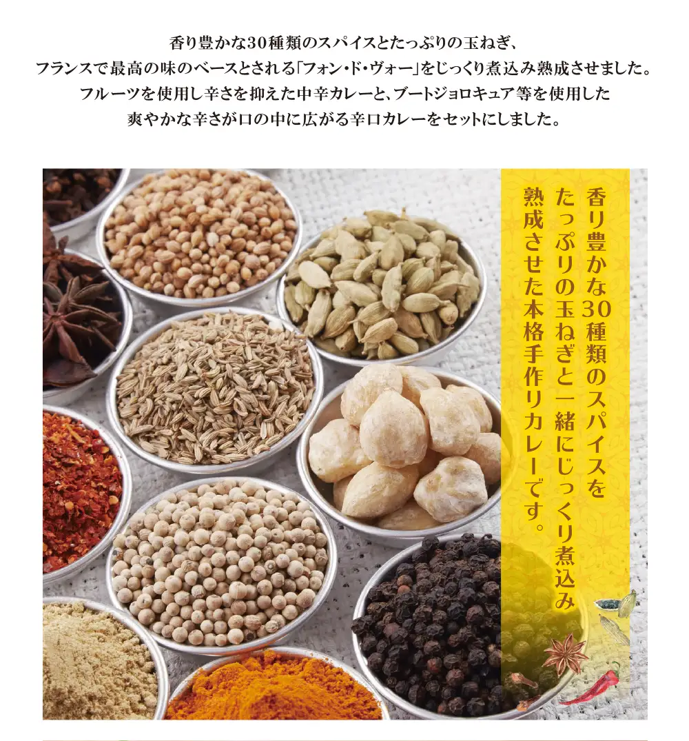Z27-06 みろくのカレー20食（中辛10食・辛口10食） カレー