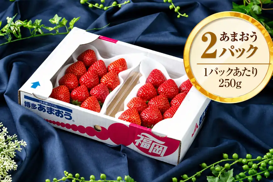 いちご あまおう 冬 2パック いちご