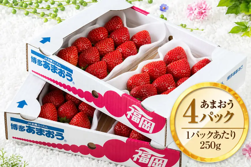 いちご あまおう 春 4パック いちご