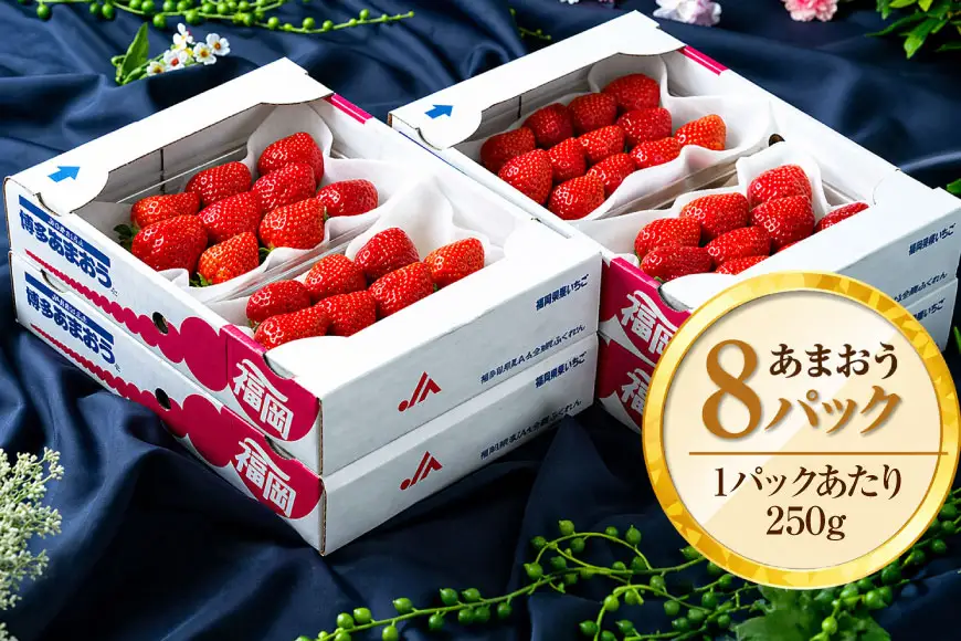いちご あまおう 春 8パック いちご