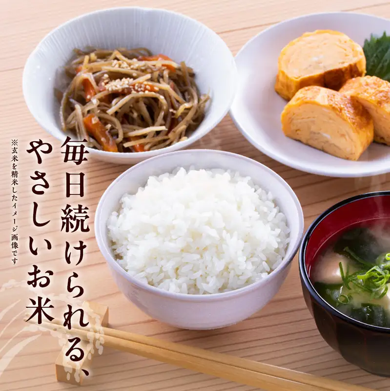 米 令和8年産 神大のおこめ（特別栽培米ヒノヒカリ）玄米30kg お米