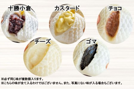 もちもち 白い たいやき 16匹 セット