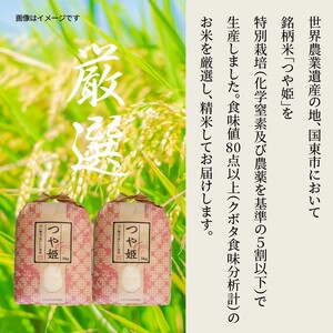 【在庫限り】令和7年産米 食味値80点以上/国東産「つや姫」10kg（5kg×2袋 ）_1673R-2