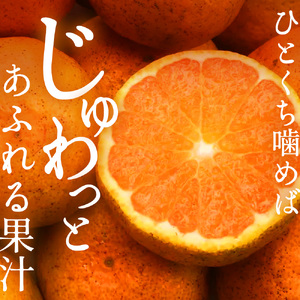 みかん 柑橘【先行受付】【2026年10月中旬以降発送】 甘さと酸味が絶妙！極早生 みかん 約7kg 三原 佐木島 017013