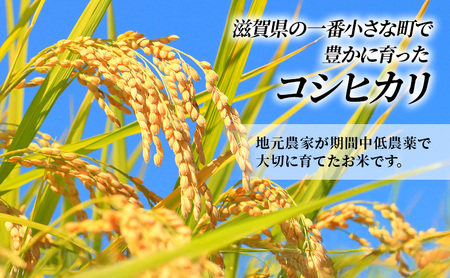 コシヒカリ お米 10kg 無洗米 定期10ヶ月 コシヒカリ