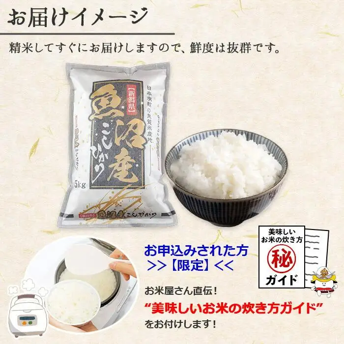 【ふるなびWEEK対象】【令和7年産】 新潟県 南魚沼産 コシヒカリ お米 5kg 精米済み（お米の美味しい炊き方ガイド付き）