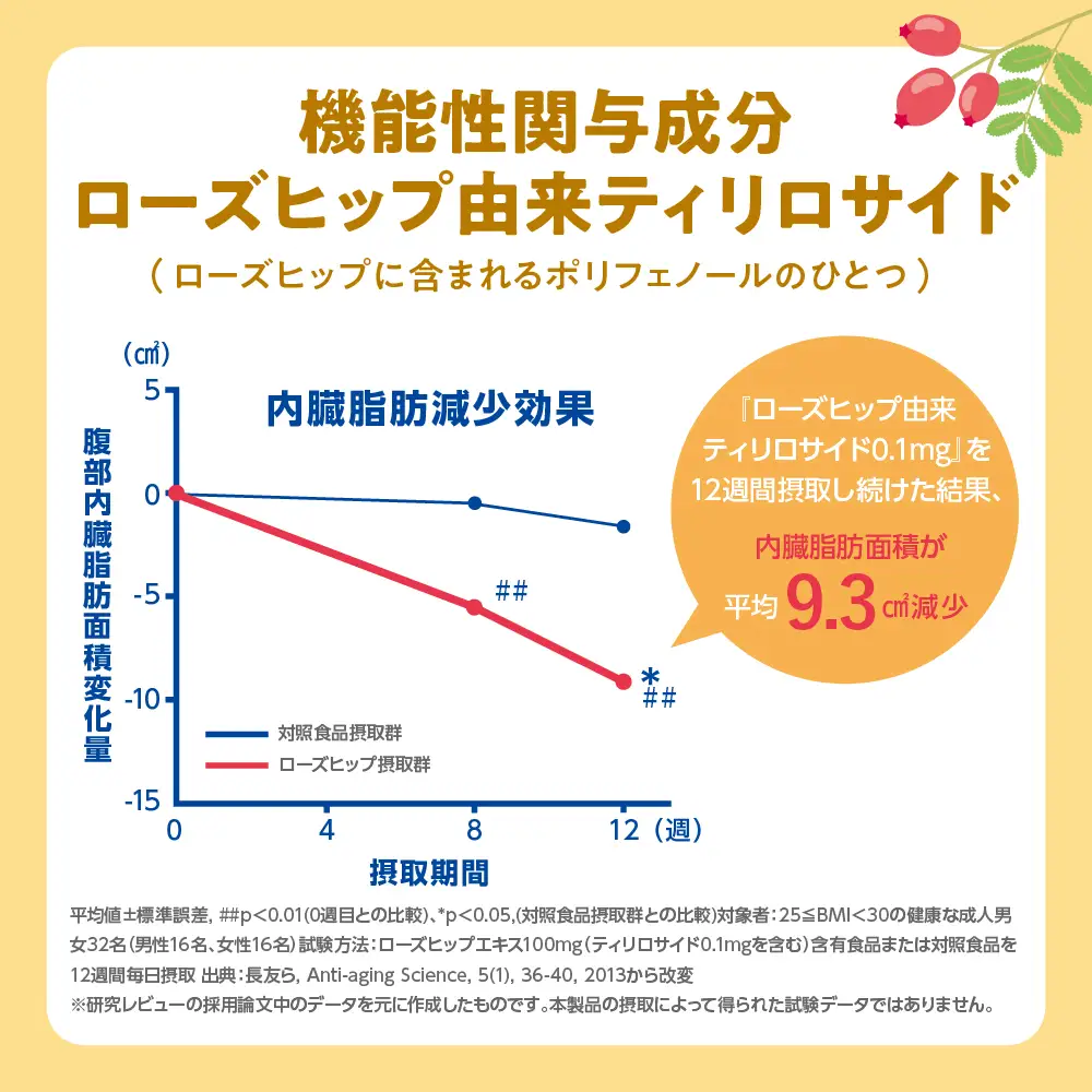 定期便２ヶ月|からだを想う オールフリー350ml 合計2箱 定期便