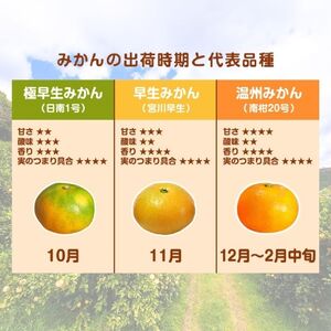 【訳あり】愛媛みかん （ 極早生 ） 10kg【発送時期：9月下旬から10月下旬】2S-Lサイズ サイズミックス 愛媛みかん 温州みかん 一番みかん 柑橘 みかん 愛媛県 愛南町 清家ばんかんビレッジ