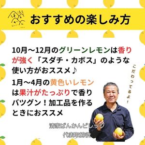 【レモン】 3kg レモン 清家ばんかんビレッジ