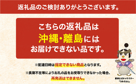 厚岸産 北海しまえび 大サイズ 350×2パック 冷凍 エビ