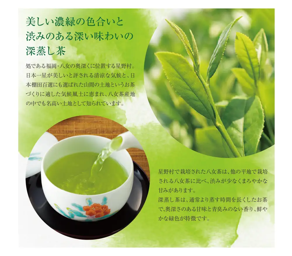 Z26-09 八女星野【訳あり】深蒸し茶1100g 緑茶