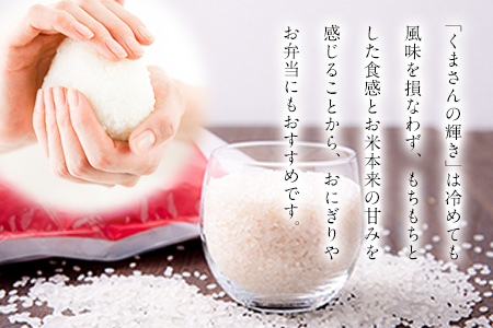 令和7年産 矢護川清流そだち(くまさんの輝き) 5kg 大津町矢護川おいしい米作り研究会 お米 熊本県 大津町《60日以内に出荷予定(土日祝除く)》