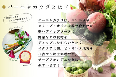 バーニャカウダ野菜セットレギュラー 12品 (H078117)
