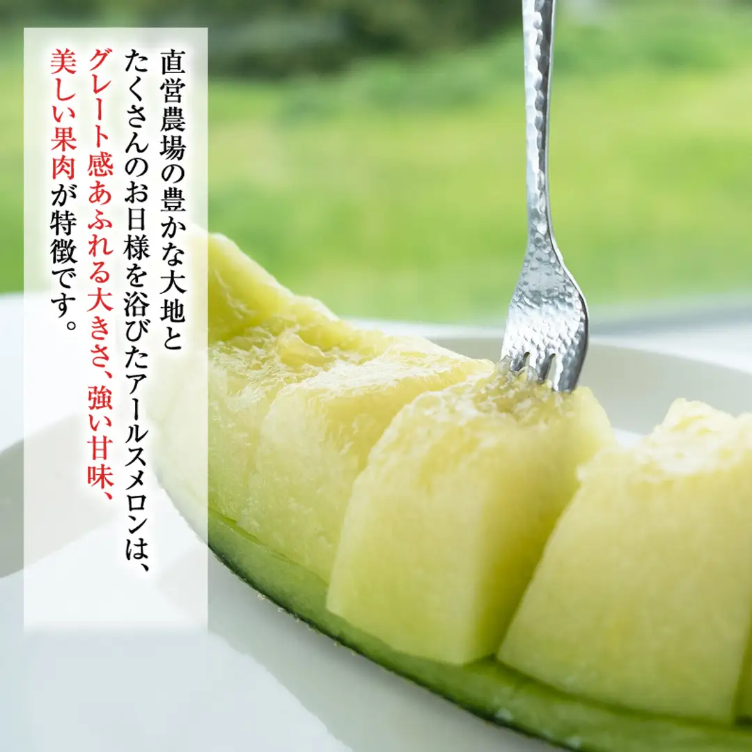 【2026年8月下旬発送開始】 季節 限定 ！ 甘さ満点 特大 アールスメロン 1個 箱 果物 フルーツ 農家直送 産直 青肉メロン 特産品 マスクメロン メロン くだもの 茨城 [BC005sa]