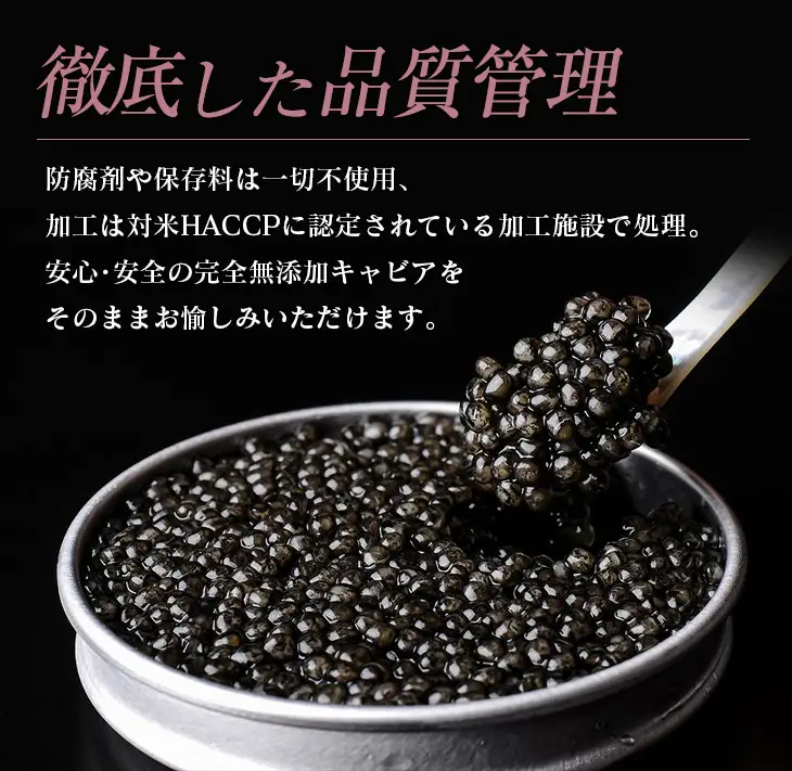 数量限定 宮崎キャビア1983 100g 魚卵 魚介 国産 食品 加工品 黒いダイヤ シロチョウザメ 高級 贅沢 三大珍味 おつまみ ご褒美 記念日 お祝い パーティー オードブル ギフト 贈り物 プレゼント おすすめ 宮崎県 日南市 送料無料_U2-25