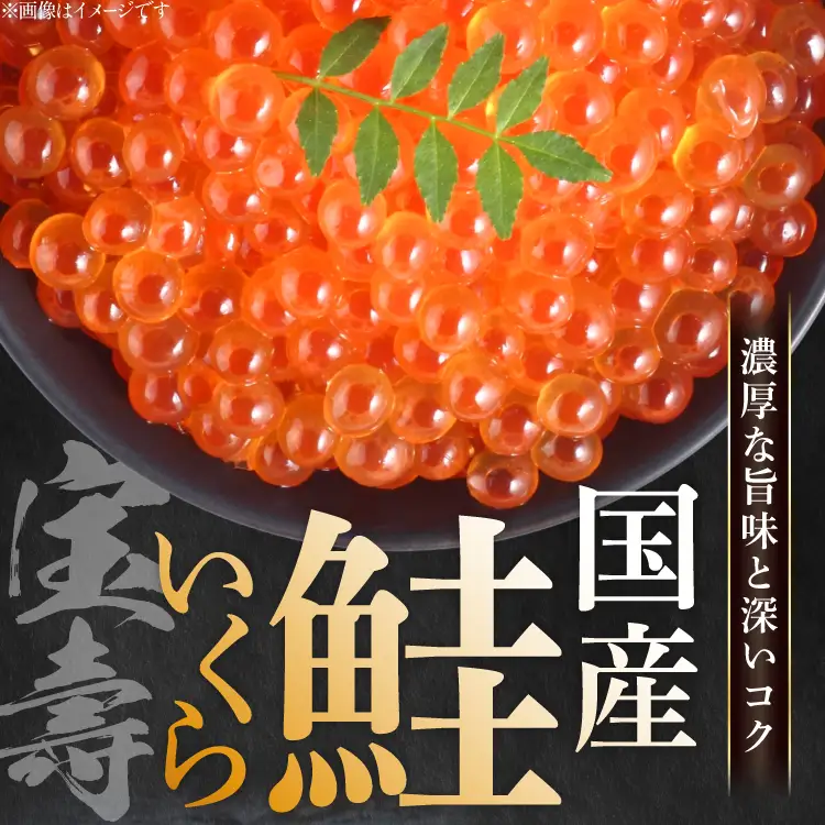 【14日以内に発送】【TVで紹介！】最高級3特 国産 味付 いくら 宝壽 醤油漬 120g×1 
