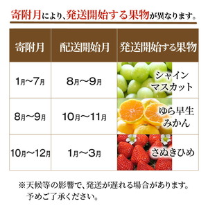 産地厳選三豊のフルーツ3回定期便A