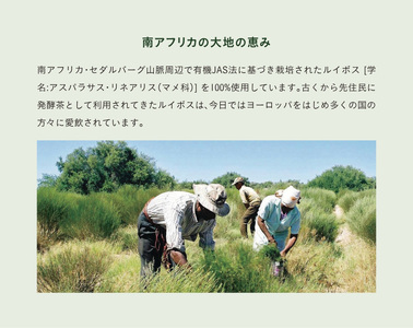 有機栽培みどりのルイボス茶(5袋セット)