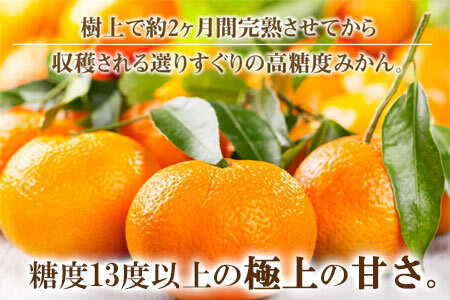 ふるーつ物語「越冬完熟みかん」約3kg(30～50個入り)