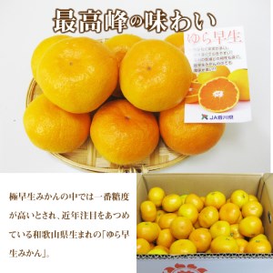 極早生みかんの最高峰 「ゆら早生」 約5kg