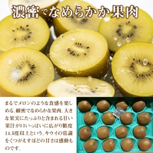 さぬきゴールドキウイ 「黄様(おうさま)」 大玉約3.2kg