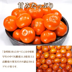 香川県オリジナルみかん 「金時紅」 約5kg