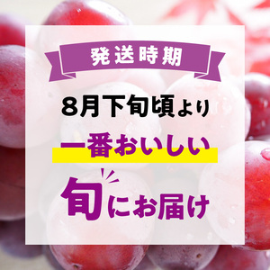 ロゼピオーネ 約2kg